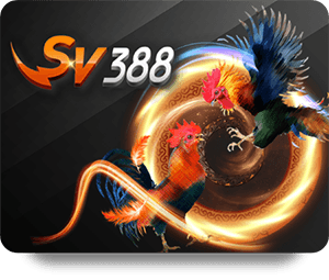 VSBET Top Bet: Beginner’s Guide to Smart Betting